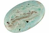 Polished Blue Caribbean Calcite Palm Stone #187879-1